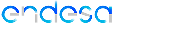 empresa colaboradora endesa